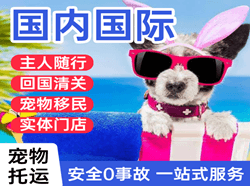 杭州萧山机场快运国际宠物托运 【国